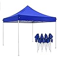 THE SUMMER 10X10 feet Heavy Duty Pop Up Foldable Canopy Tent with 4 Side Open, Gazebo Tent for Outdoor Garden,Event, Picnic, Lawn, Terrace & Promotional (21 Kg, Blue)