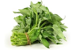 HUA XIAN ZI Spinaci d'acqua, kangkong, spinaci di fiume, spinaci cinesi o crescione d'acqua - 15 g di semi