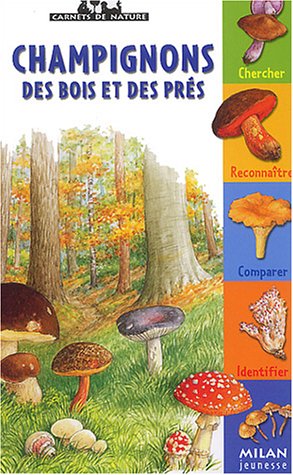 Champignons des bois et des prés