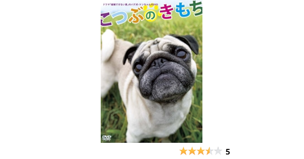結婚できない男 のパグ犬 ケンちゃんのdvd こつぶのきもち Amazon De Dvd Blu Ray 結婚できない男 のパグ犬 ケンちゃんのdvd こつぶのきもち Amazon De Dvd Blu Ray