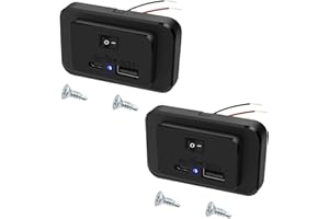 HOEMBPN 4,8A Dual USB Auto Ladegerät Steckdose mit Schalter und LED, 12V/24V PD und QC3.0 USB Ladebuchse Panel für Wohnmobil SUV LKW Marine(2 Stück)