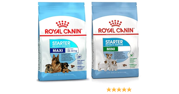 royal canin starter amazon