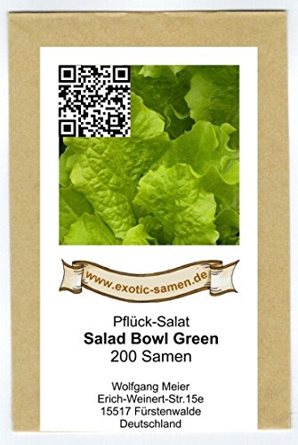 Pflück-Salat – Salad Bowl Green (200 Samen) - 2