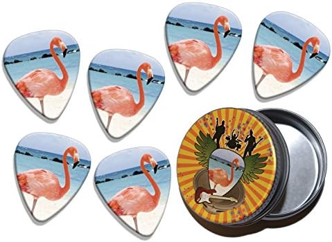 Pink Flamingo 6 X Logo Guitar Picks & Stash Tin (GD)