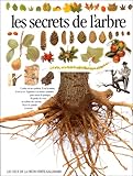 Les Secrets de l'arbre