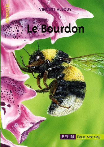 Download Les bourdons Download Les bourdons