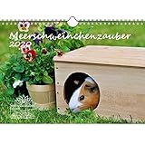 Meerschweinchenzauber DIN A4 Kalender 2020 Meerschweinchen - Seelenzauber by 