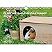 Meerschweinchenzauber DIN A4 Kalender 2020 Meerschweinchen - Seelenzauber by 