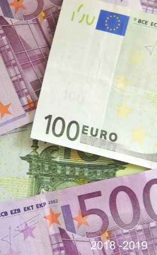 Preisvergleich Produktbild 2018 - 2019: Euro 100 and 500. 2 - Years Pocket Planner (Pocket 2018 - 2019)