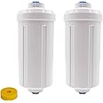 HUINING fluoride arsenic water filter, replaceable filter element, compatible with Black Berkey and other gravity filtration systems, effectively reduces chlorine and fluorine (2 pieces)