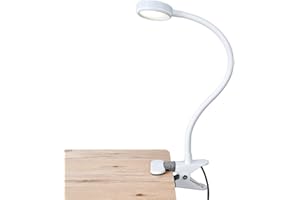 LEPOWER LED Reading Light, Clip on Light, Flexible Bed Light with 2 Brightness Levels, AC Adapter and USB Cord Included for Desk, Headboard (White)