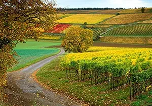 VVWV Wall Natural Beauty Printed Poster for Living Bedroom Kids Boys Girls Office Home Kitchen Study Room 300 GSM Printed Wall Decoration Stickers 12 X 18 Inches