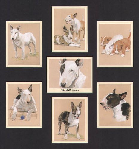 ArtofwheelsEnglish Bull Terrier Dog Collectors Cards