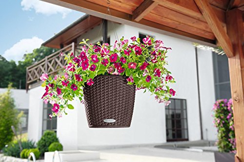 NIDO COTTAGE 28 Komplettset mokka 15195 - 2