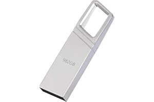 MS LULA USB Stick 982GB, Metall Speicherstick USB-Stick Wasserdicht USB Flash-Laufwerk, Große Kapazität, Mini USB Sticks für Computer, PC, Laptop, Auto (Silber)