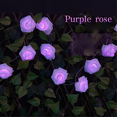 Preisvergleich Produktbild Neu 20 LEDromantische Rosen Blumen beleuchten Hochzeit Garten Party Weihnachtsdekoration Schnur Licht Lampe(Lila)