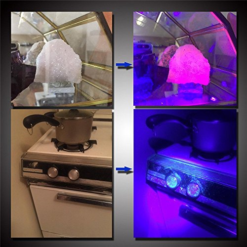 Delipop 100 Leds 395nm UV Blacklight Taschenlampen Bestrahlungsbereich für die Erkennung von Skorpionen Pet Urin Fleck Gefälschte Währung - 7