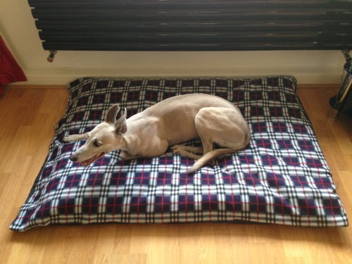 KosiPet-NAVY-PLAID-Fleece-EXTRA-LARGE-SPARE-COVER-For-Dog-BedDog-BedsPet-BedDogbedDogbedsPetbedPetbeds