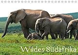 Wildes Südafrika (Tischkalender 2017 DIN A5 quer): Bilder aus Südafrika (Monatskalender, 14 Seiten ) (CALVENDO Tiere) by 