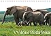 Wildes Südafrika (Tischkalender 2017 DIN A5 quer): Bilder aus Südafrika (Monatskalender, 14 Seiten ) (CALVENDO Tiere) by 