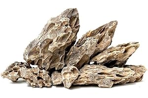 WYSKONT Piedras para acuario o terrario, decoración natural para peceras, rocas ornamentales marinas, adecuadas para biotipo Iwagumi, soporte de filtración de agua, dragón de 1 kg