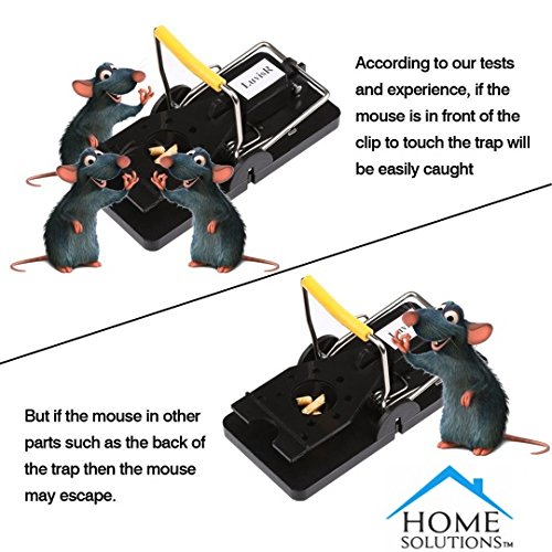 Cookey Mouse Trap 6 Pack Frühlingsgeladene Bar Trap Kill Catch Mäuse, Quick Set Wiederverwendbare Maus Control Snap Traps - 6