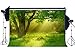 Price comparison product image Sunny Star 10X8FT Spring Backdrop Jungle Forest Trees Sunshine Green Grass Meadow Nature Outdoor View Vinyl Photography Background for Kids Adults Picnic and Hiking Party Photo Studio Props RM86