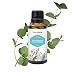 Eucalyptus Oil 15ml RS.139.00