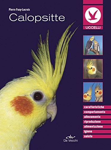 Download Calopsitte (Animali) Download Calopsitte (Animali)