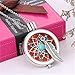 Linkings Unisex Aromatherapy Necklace Essential Oils Diffuser Hollow Locket Pendants