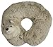Produktbild Inware 6842 - Nackenkissen Husky, grau/meliert, Nackenhörnchen