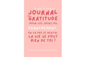 111 jours de gratitude: pour les jours où franchement, on va pas se mentir, la vie se fout bien de toi !