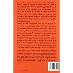 Entre parentesis / Between Parenthesis: Ensayos, Articulos Y Discursos (1998-2003)