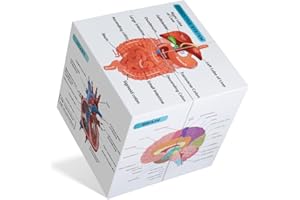 kaitnax Human Anatomical Poster Set Anatomy Study Cube Medical Student Learning Tool Chart Set, 9 Parts Anatomy Heart, Muscular, Skeletal, Digestive, Circulatory etc. Gift Package