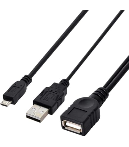 QIANRENON Lot De 2 Câbles De Charge Courts USB C Vers Micro USB Et Mini USB 1 En 2 5 V 3 A USB Type C Mâle Vers Micro USB Mâle