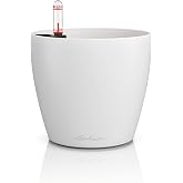Lechuza CLASSICO Color Automatic Watering Planter