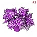 Produktbild Aprettysunny Coleus Seeds Begonia Flower Seeds Unique 50 Pcs/Bag Beautifying Balcony