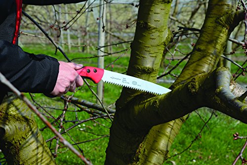 Felco-Baumsäge mit Träger Nr. 611 - 2