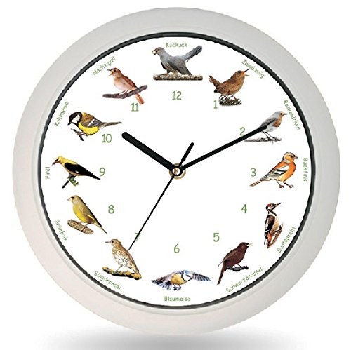 Vogelstimmen-Wanduhr mit Silberrahmen
