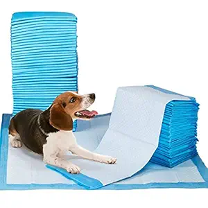 Nootie Nunbell Potty Training Pads, 450 g (10Pieces, 60 x 90 cm)