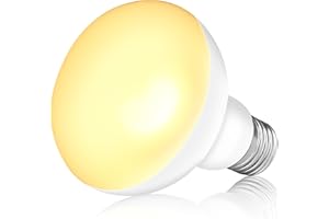 NEPTONION Reptilienwärmelampe, 100W UV-Wärmelampe, Tageslicht-Spotlampe für Eidechsen, Schildkröten, Bartagamen (E26, 220V),1 Pack