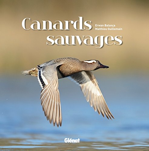 Télécharger Canards sauvages livre En ligne