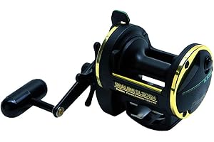 Daiwa Sealine Slosh SL20SH Powermesh 3BB Series Multiplier Fishing Reel - SL20SH