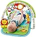 Fisher-Price 3-in-1 Musical Activity Gym