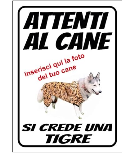 Attenzione Rf Radiazione Rischio Autorizzato Solo Cartello Su Bianca - Foto 2