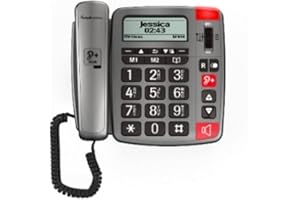 Amplicomms PowerTel 196 Téléphone pour seniors