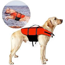 poppypet Gilet de Sauvetage pour Chien, Gilet de Flottaison pour Chiens, Gilet de Sauvetage Fluorescent pour Petit Animal de Compagnie Orange M
