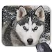 Produktbild Siberian Husky Puppy Dog in Snow Mousepad