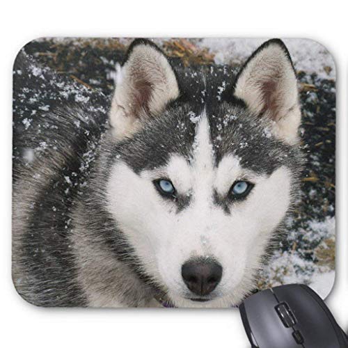 Preisvergleich Produktbild Siberian Husky Puppy Dog in Snow Mousepad