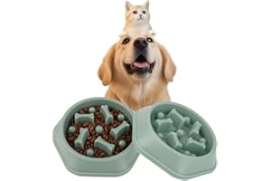 DERDOUT Slow Feed Dog Bowl Food Anti swelling, Anti swallowing, Healthy Diet Interaction, Non slip Feeder for Small and Medium Dogs Pet Bowl - Green